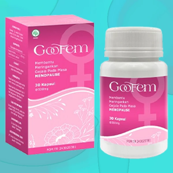 GOOFEM