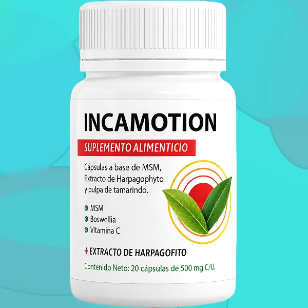 IncaMotion