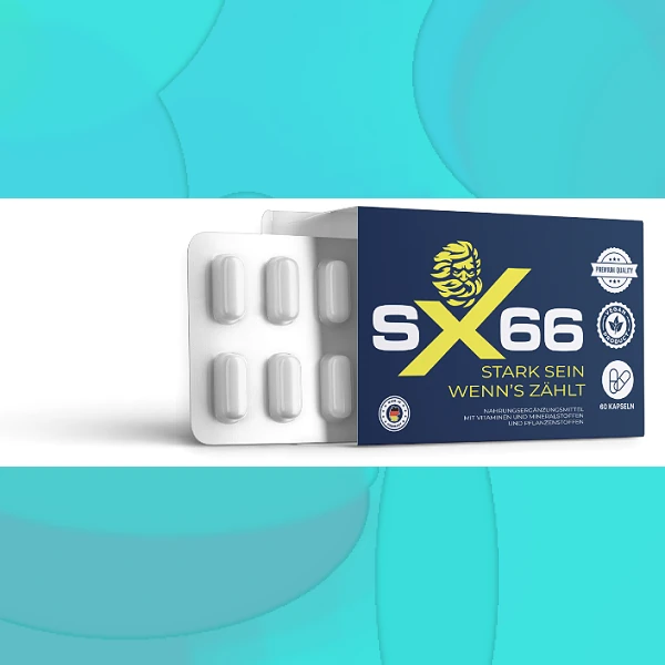 SX 66